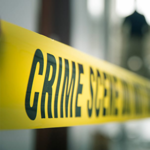 LAW ENFORCEMENT SUPPORT SERVICES LAW ENFORCEMENT SUPPORT SERVICES