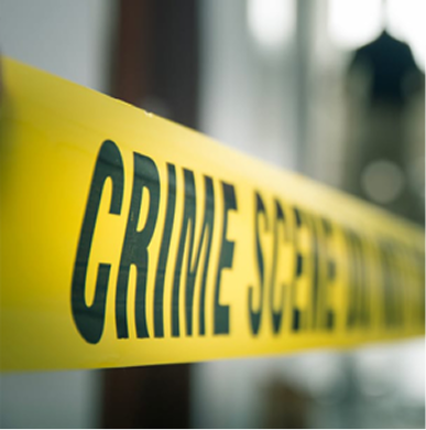 Law Enforcement Support