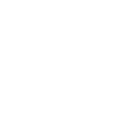 Executive Protection