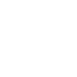Manned Guarding