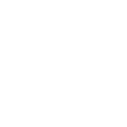 card-icon-one